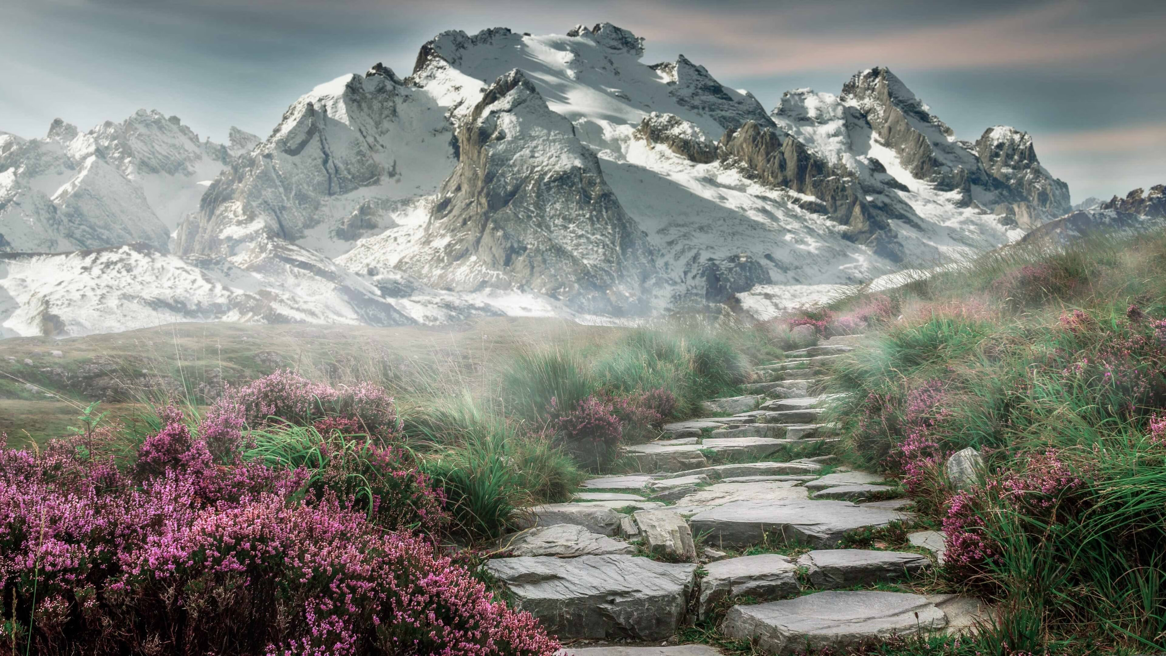 v7.2.5 新版上线，以细节重塑未来，2026年2月26日启程